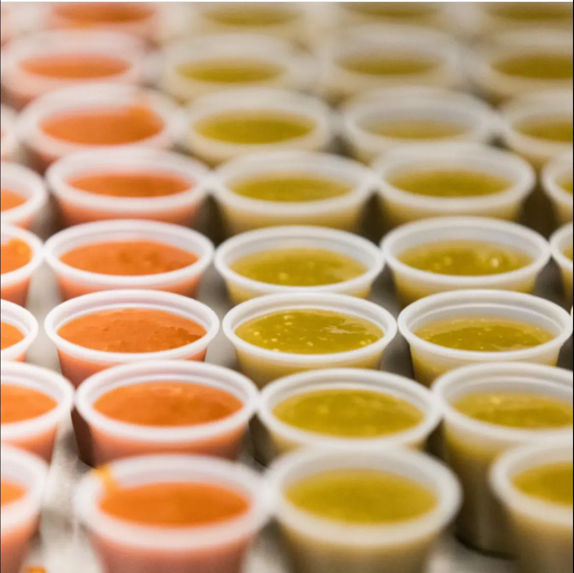 Homemade red and green salsas